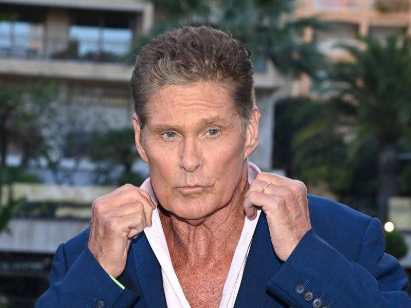 david_hasselhoff